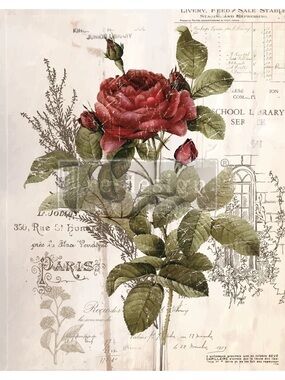 Redesign with Prima Decor Transfer | BOTANICAL ROSE | 24” x 34”